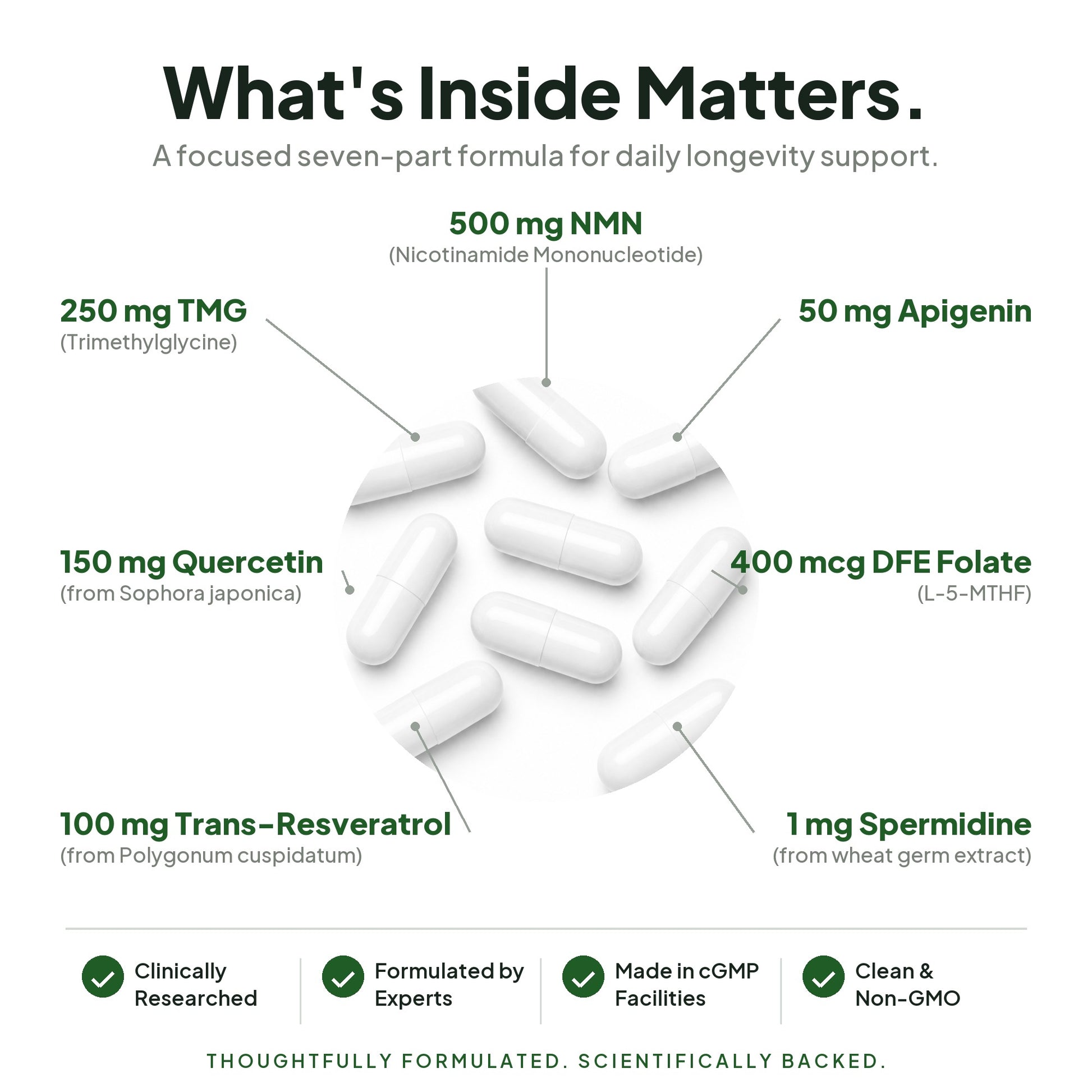 What's inside AgeAura - 7-part formula with doses: NMN 500mg, TMG 250mg, Quercetin 150mg, Trans-Resveratrol 100mg, Apigenin 50mg, Folate 400mcg DFE, Spermidine 1mg